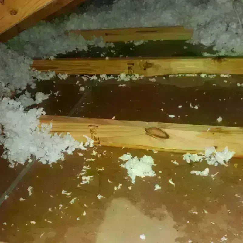 Attic Water Damage in Lafayette County, FL