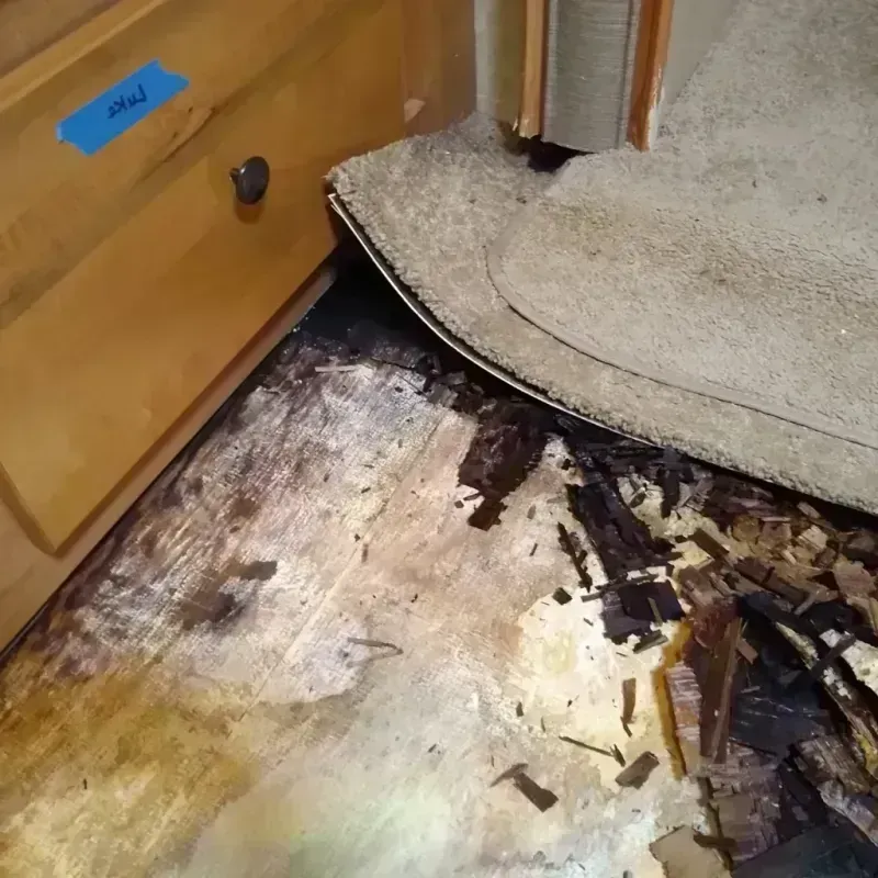 Best Wood Floor Water Damage Service in Lafayette County, FL